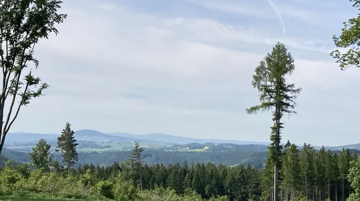Pestwiese Zschopau | © MVhwgr