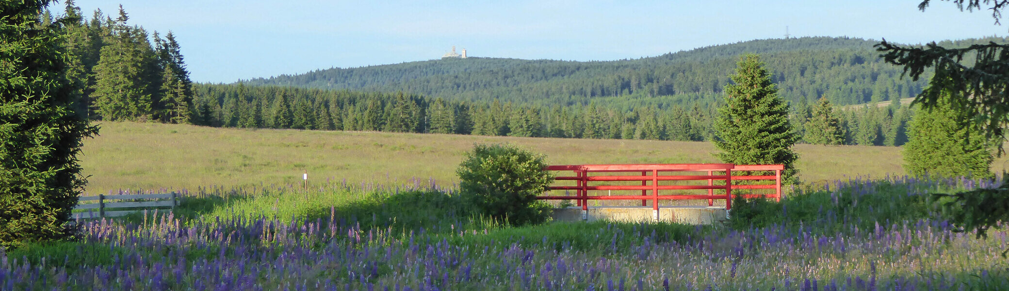 © Uwe-Trenkmann_Blick-zum-Fichtelberg