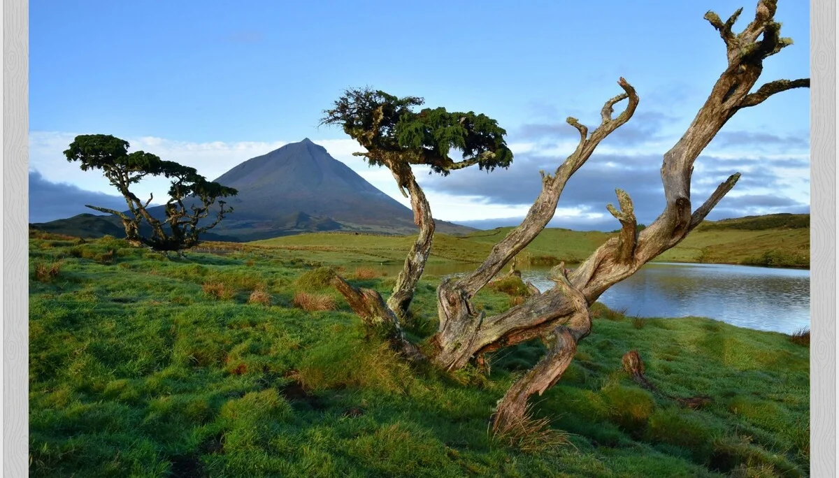 © Olaf Wolters - Montanha do Pico / Azoren