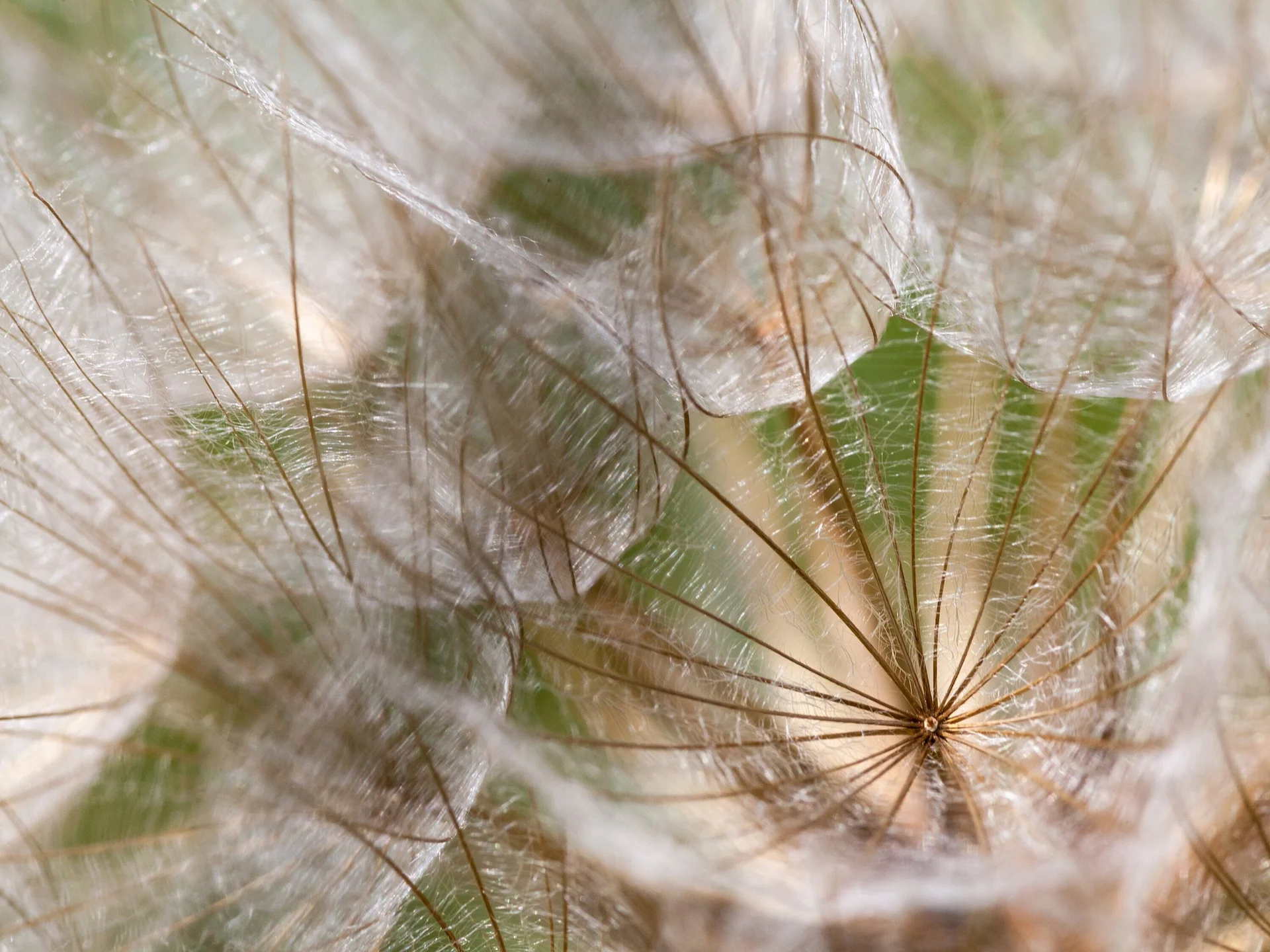 © Ingo Röger-Mai_Elsteraue