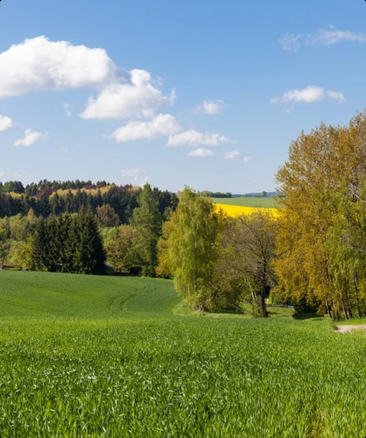© Ingo Röger - Rodewisch