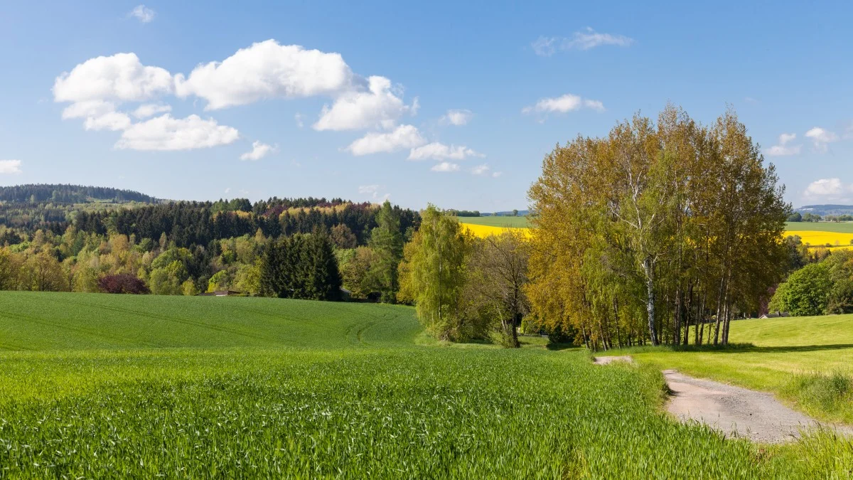 © Ingo Röger - Rodewisch
