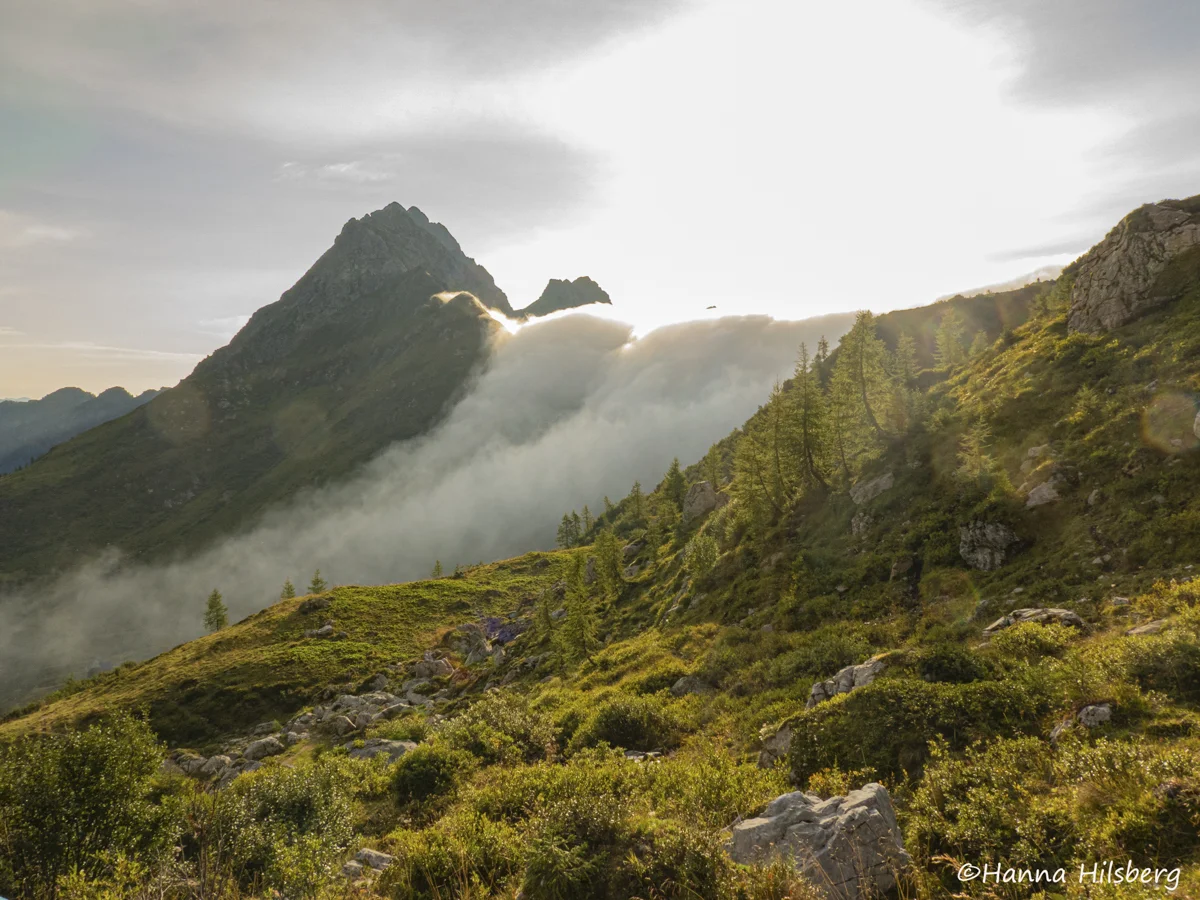 © Hanna_Hilsberg-Karnischer Höhenweg