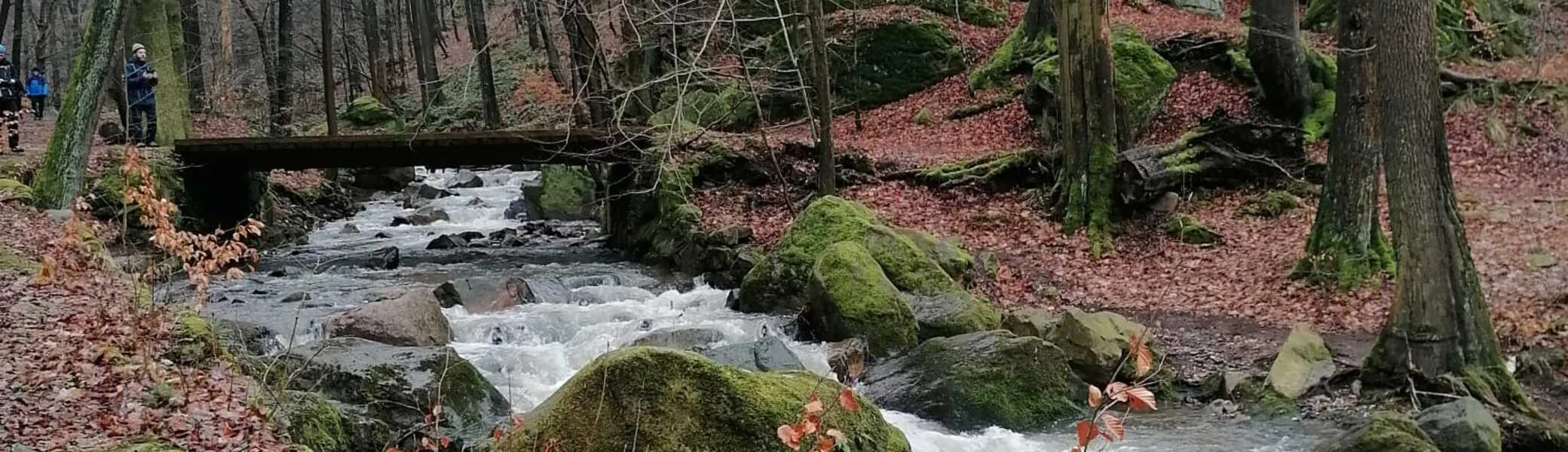 08.02.2024 | © A. Lösch