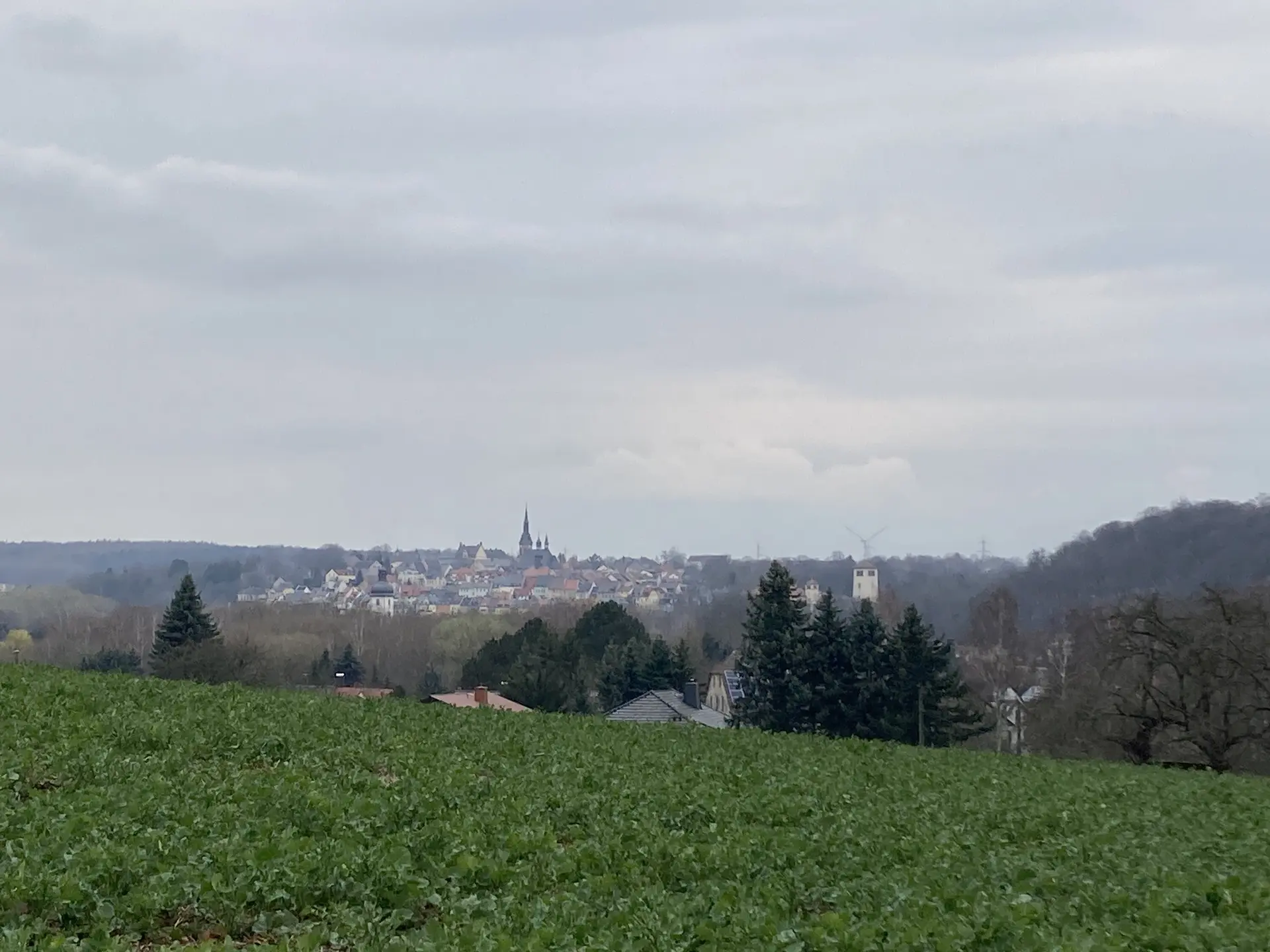 Blick auf Waldenburg | © M.V.