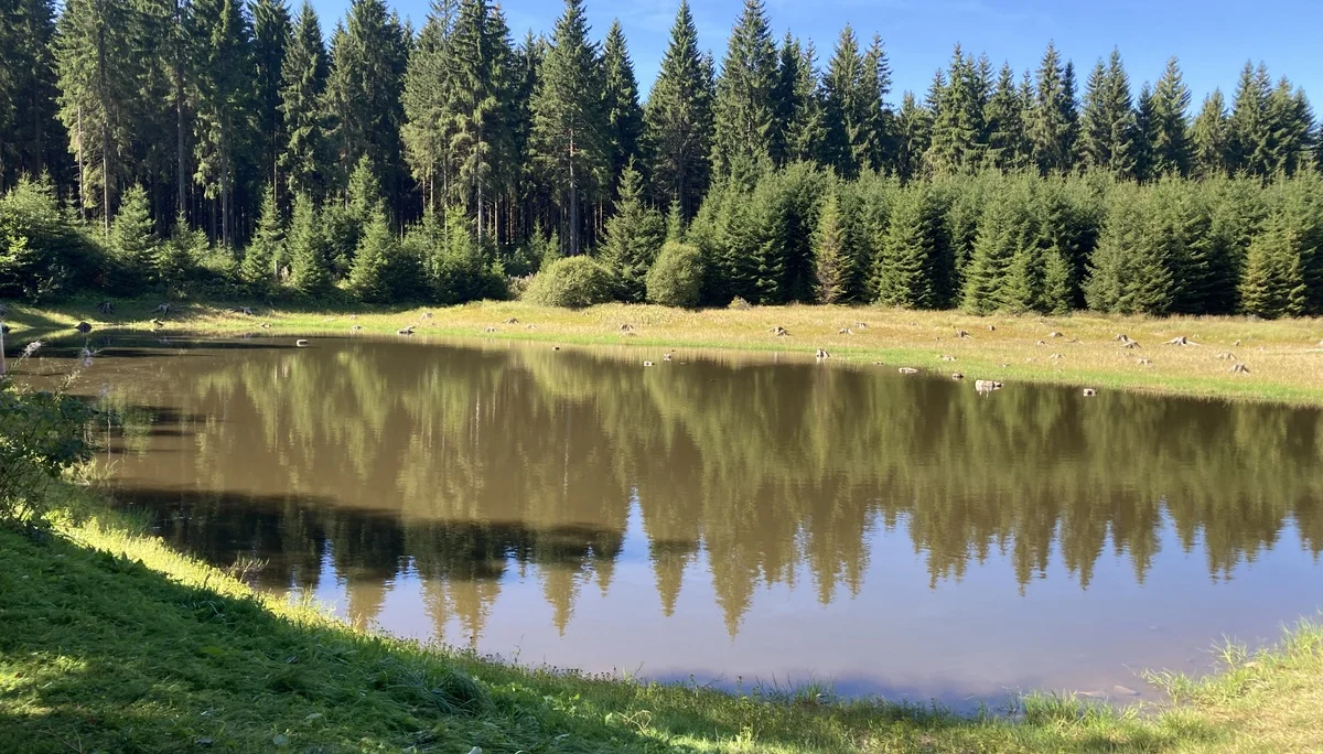 Marienberg Kühnhaide Hübnerteich | © DAV