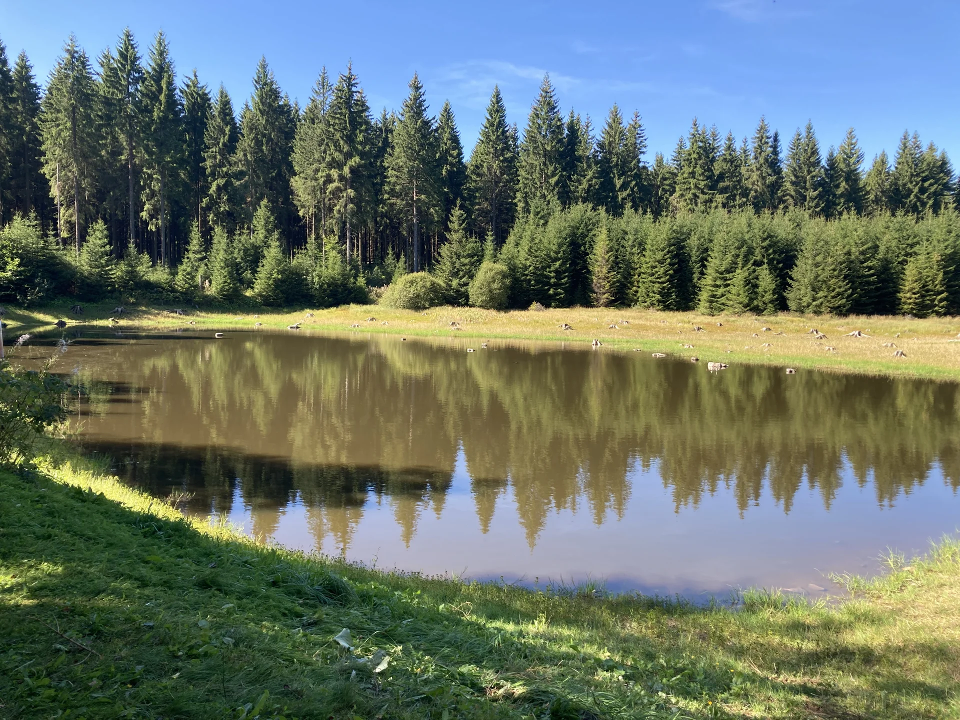 Marienberg Kühnhaide Hübnerteich | © DAV