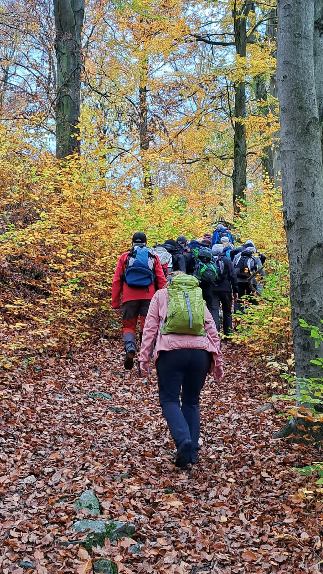 Raubrittersteig | © k.Drechsel