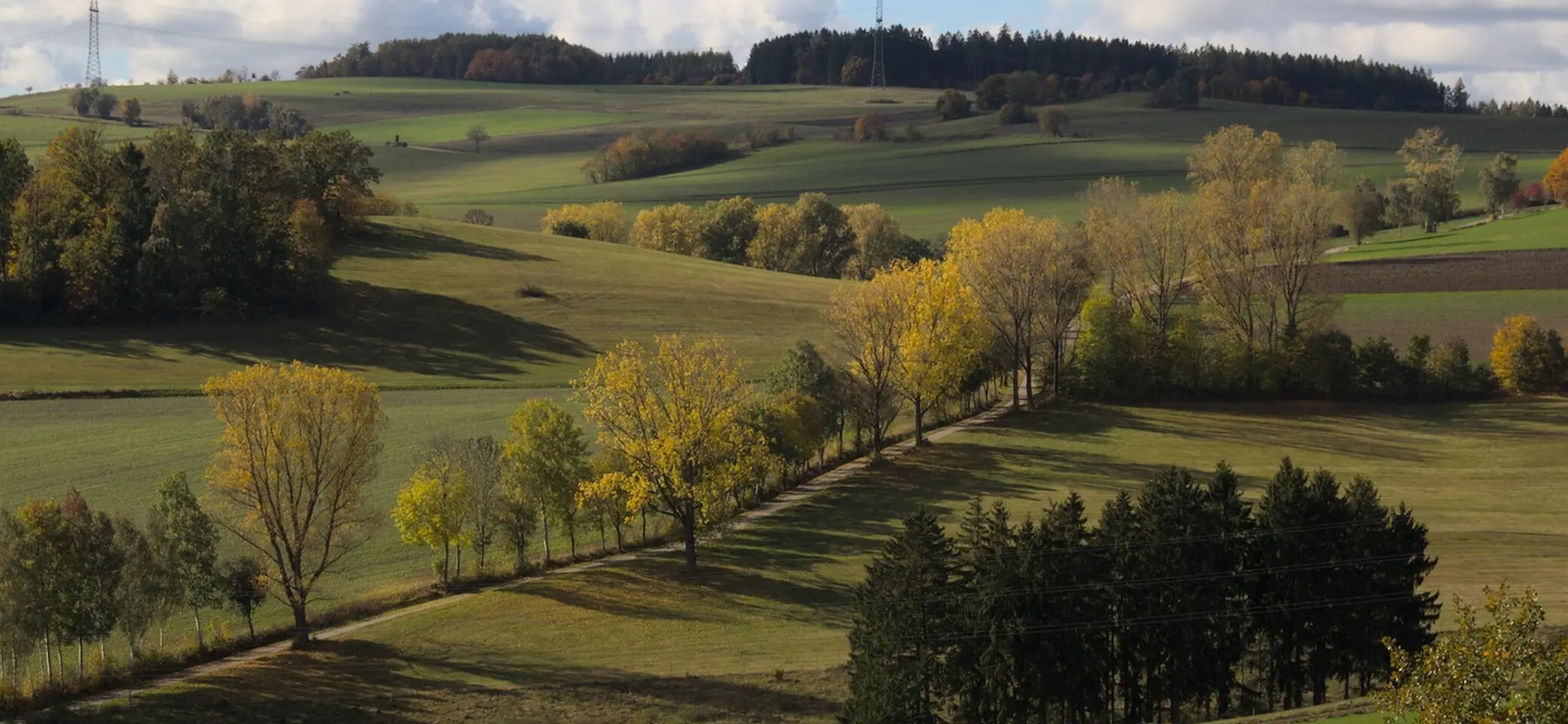 © 03_Wolfram-Scheuner_Gelenau