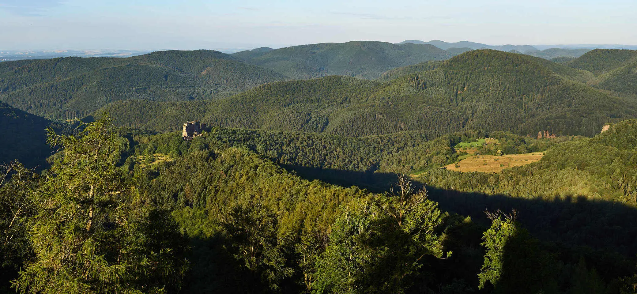 © Pfälzerwald mit Burg Fleckenstein_Foto Andreas Scholz