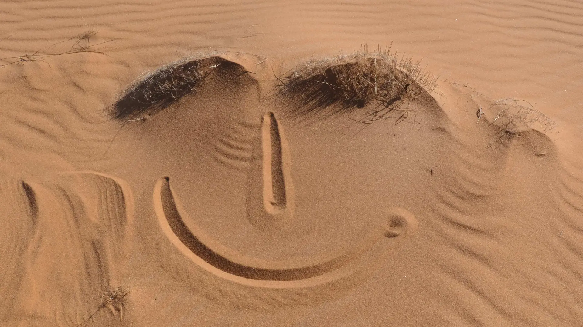 © WP-Sahara