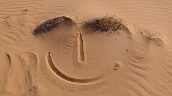 © WP-Sahara