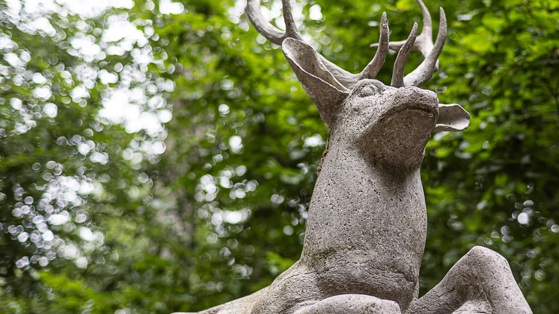 © Der Hirsch im Zeisigwald_Hanna Hilsberg