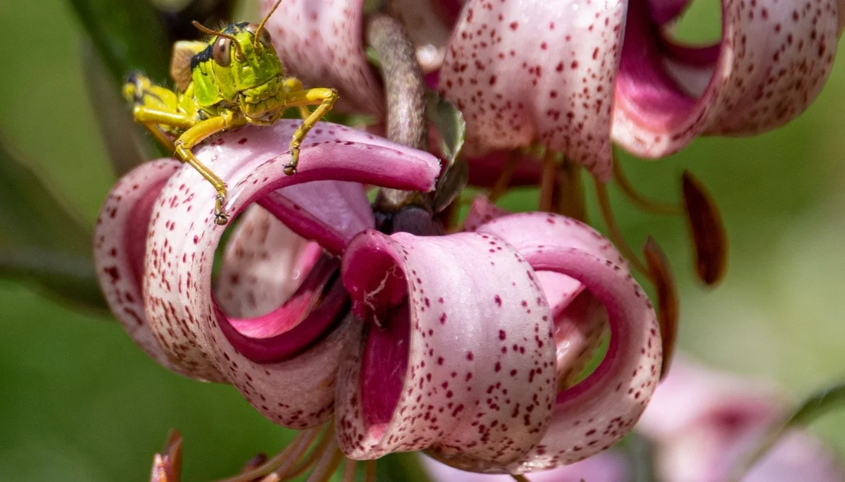 © Hanna Hilsberg_Paul Edoumir, was machst du hier!