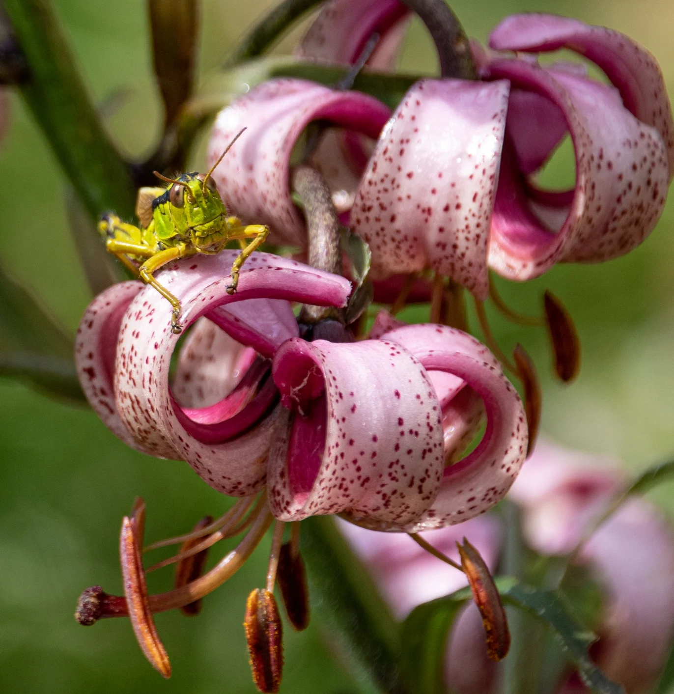 © Hanna Hilsberg_Paul Edoumir, was machst du hier!