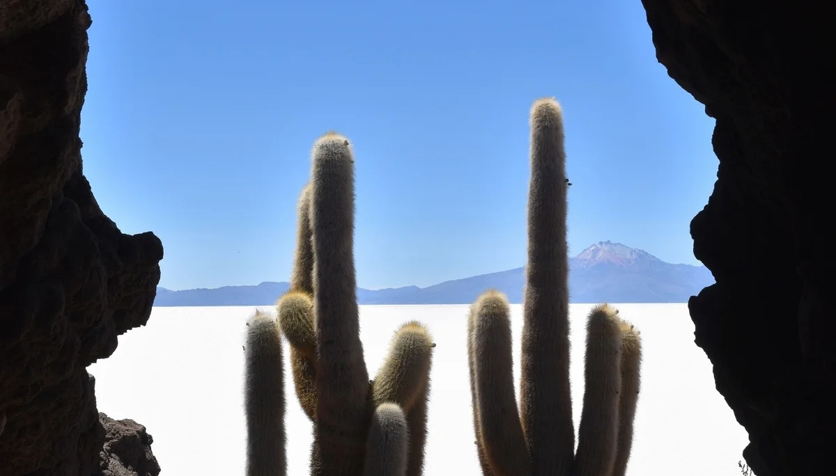 © Olaf Wolters_Bolivien Salar de Uyuni