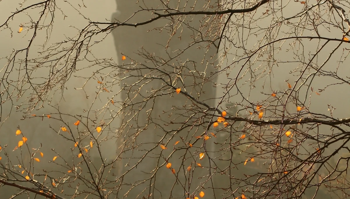 © Hanna Hilsberg_Herbst im Elbsandstein