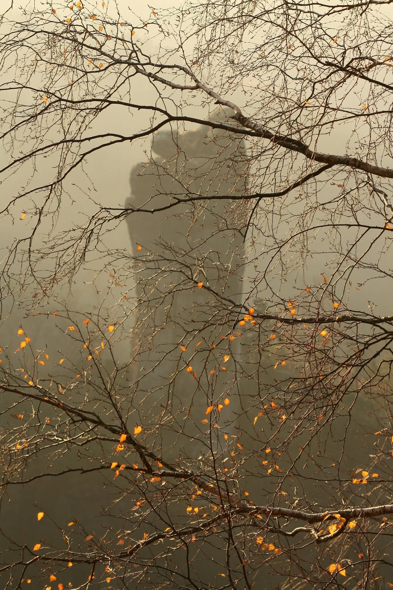 © Hanna Hilsberg_Herbst im Elbsandstein