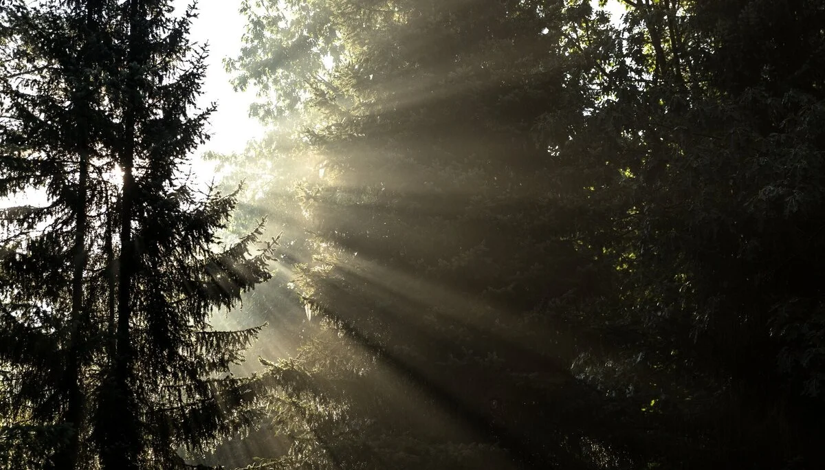 © Mario Lindner_Lichtstimmung