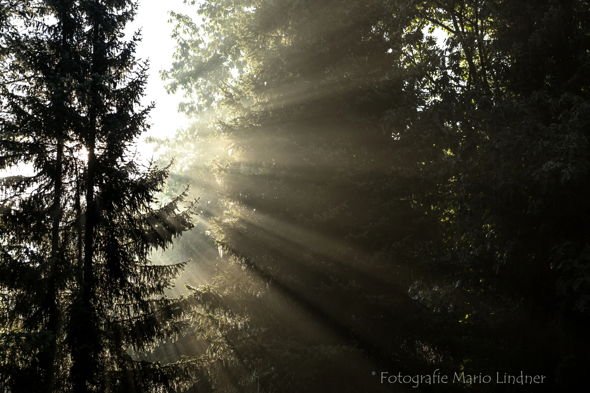 © Mario Lindner_Lichtstimmung