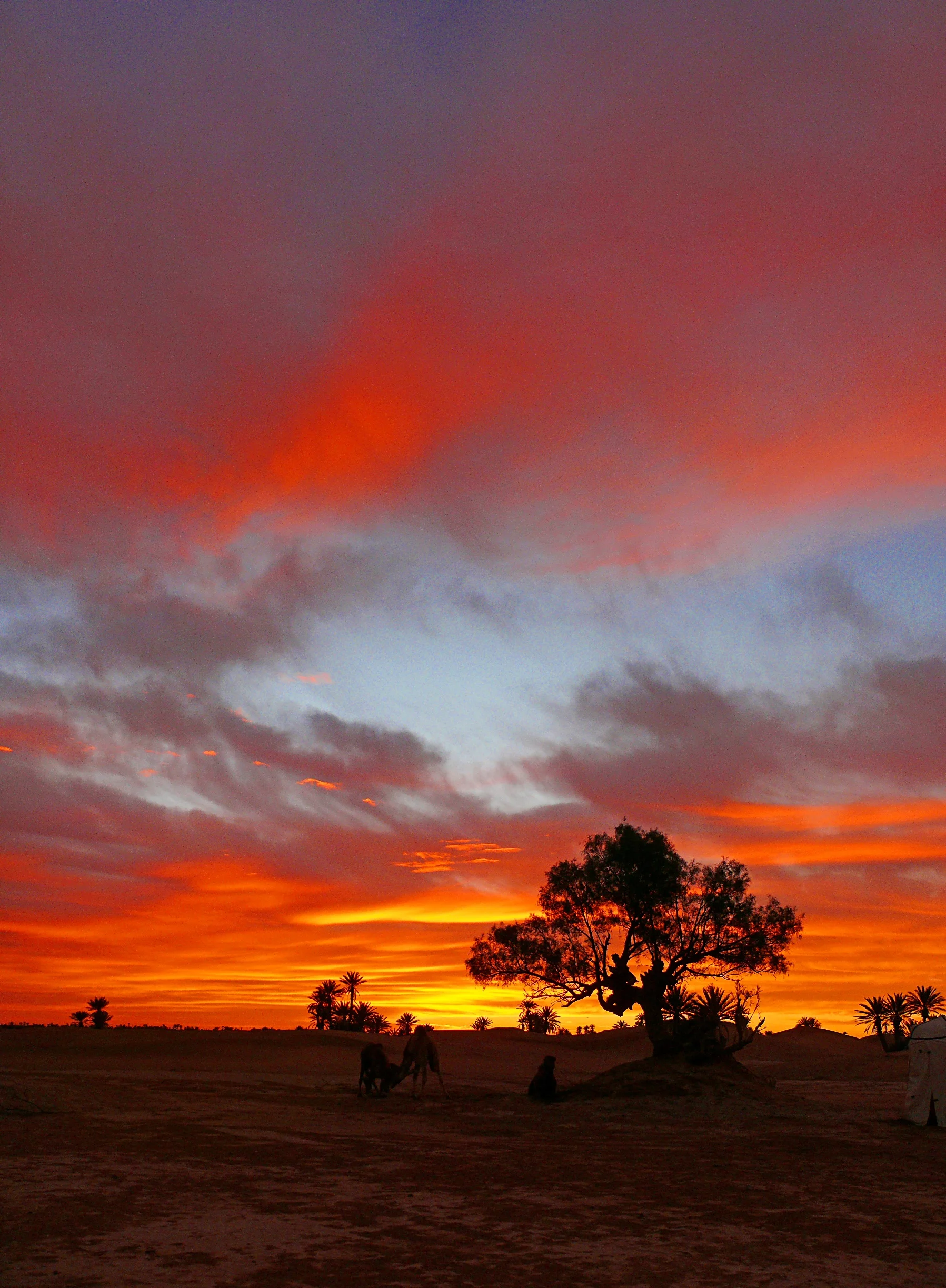 © Wolfgang Poznanski_Marokko bei M Hamid