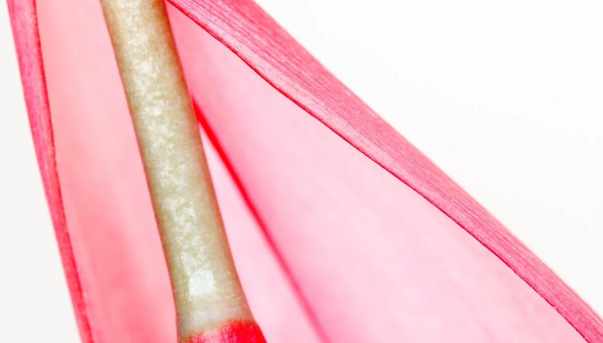 © Ingo Röger_Blüte