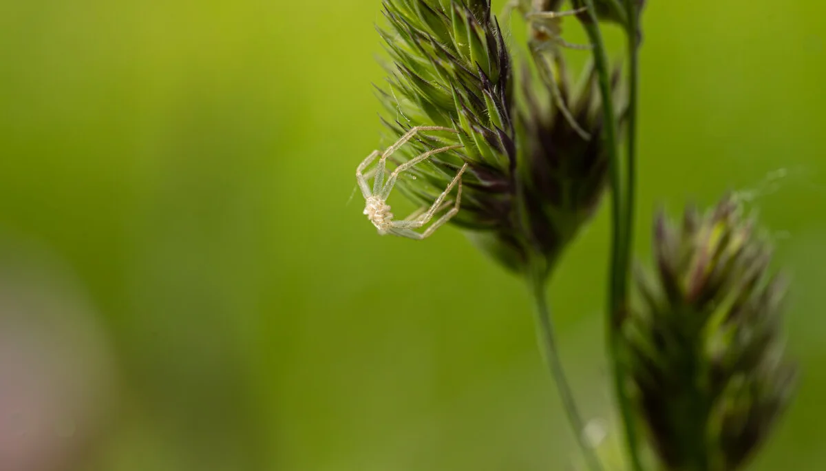 © Hanna Hilsberg_ Was bleibt ist eine Hülle