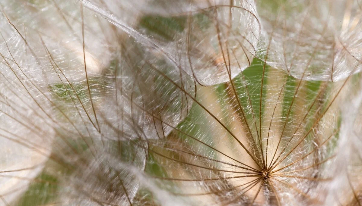 © Ingo Röger-Mai_Elsteraue