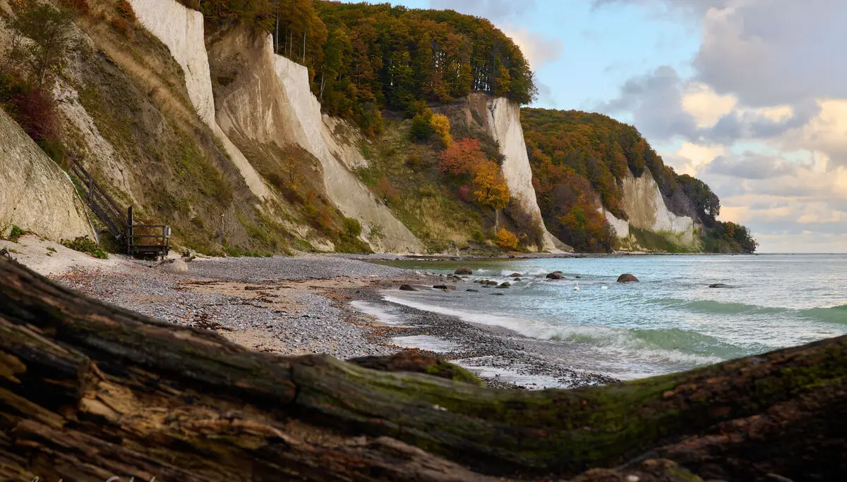 © 03_Andreas-Scholz_Steilküste am Kieler Ufer-Nationalpark Jasmund-Rügen