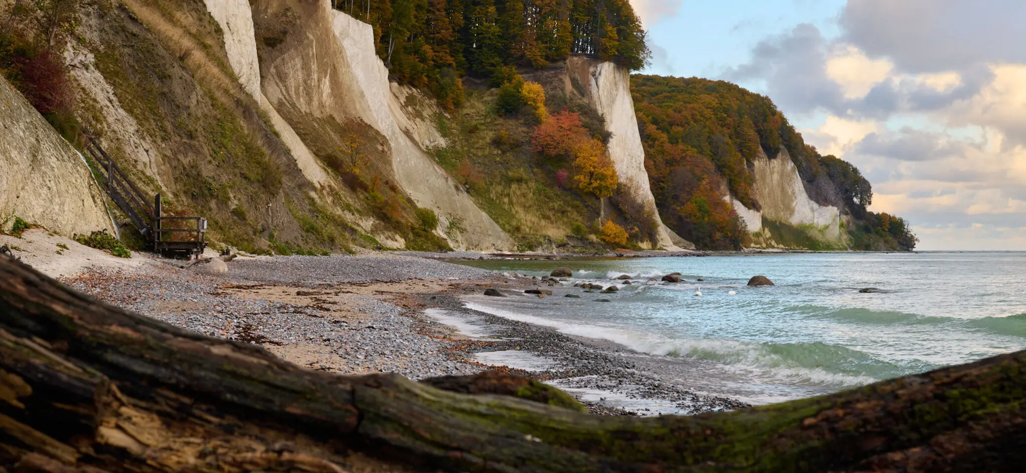 © 03_Andreas-Scholz_Steilküste am Kieler Ufer-Nationalpark Jasmund-Rügen