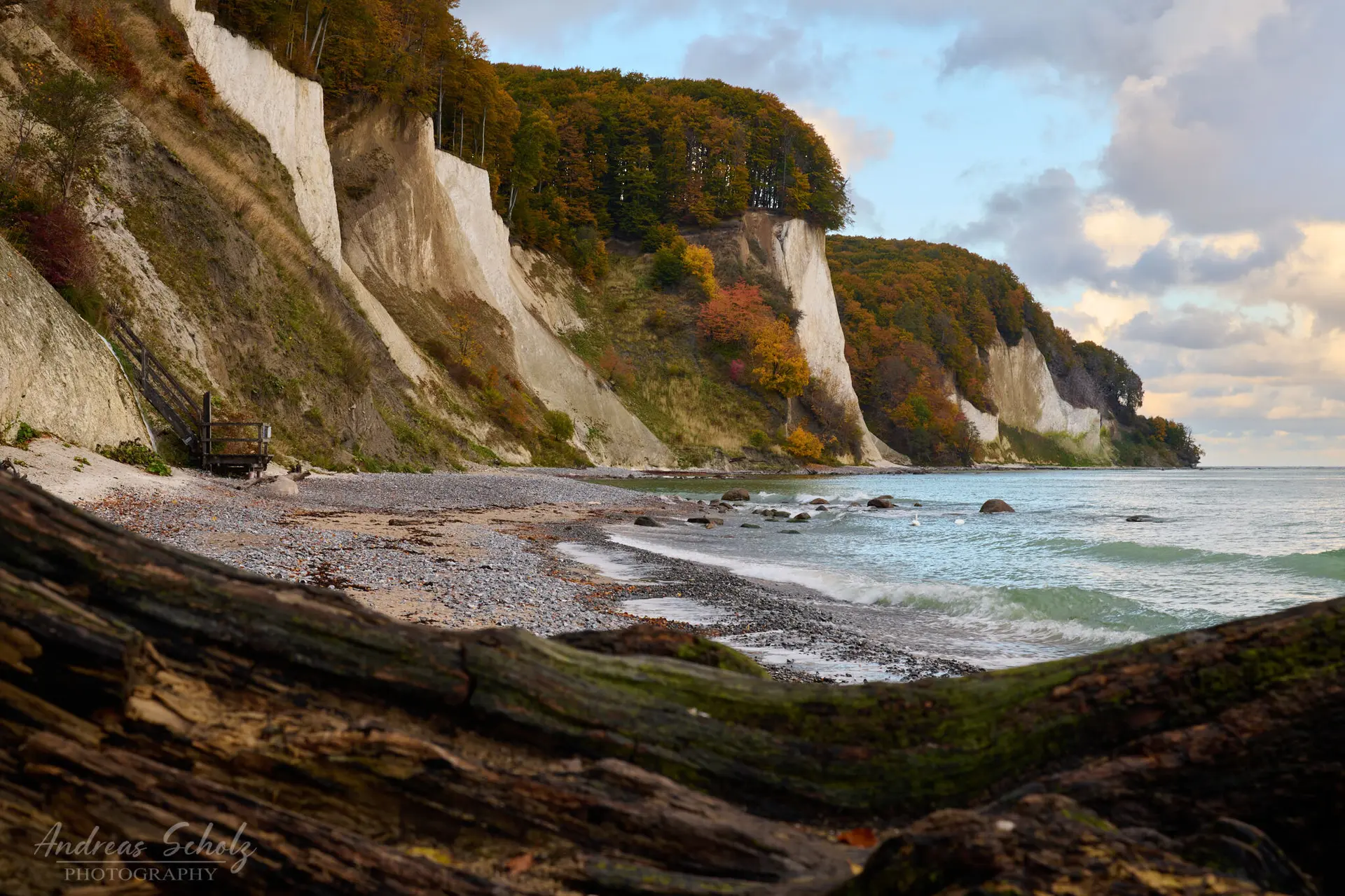 © 03_Andreas-Scholz_Steilküste am Kieler Ufer-Nationalpark Jasmund-Rügen