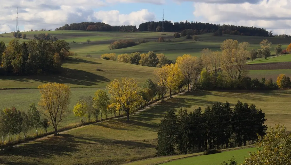 © 03_Wolfram-Scheuner_Gelenau