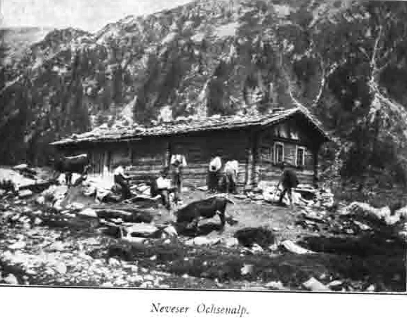 Neveser Ochsenalm | © DAV Chemnitz Archiv: Im Bannkreis der Hütte