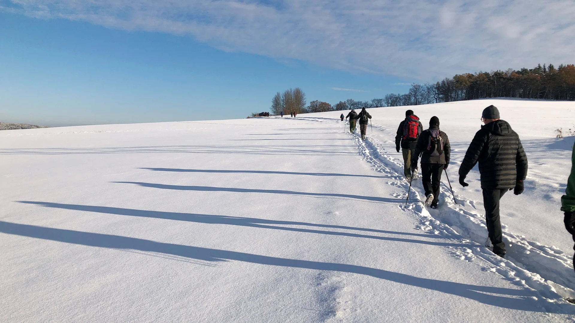 © WP_Rentiere_am_Spitzberg