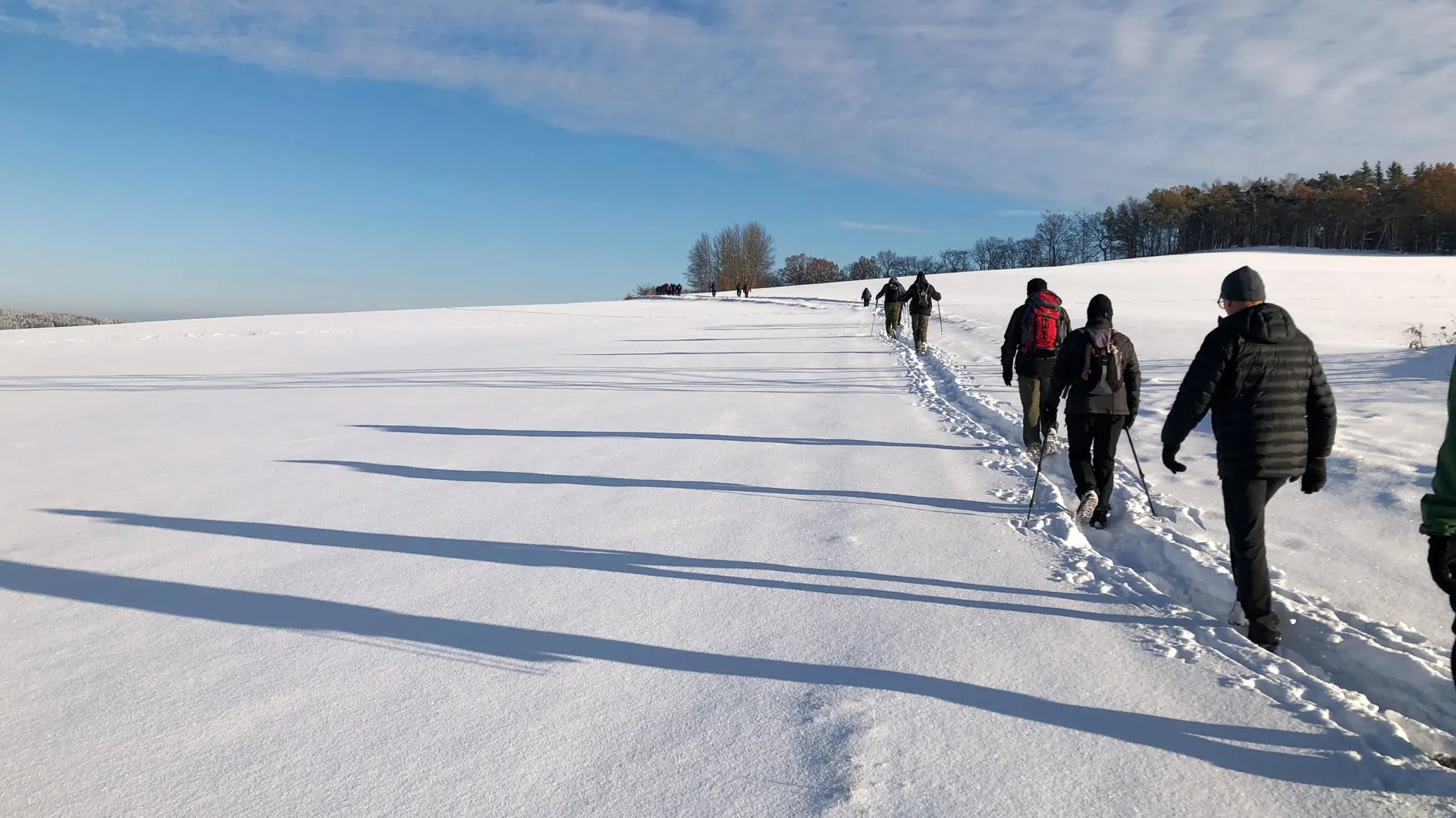 © WP_Rentiere_am_Spitzberg