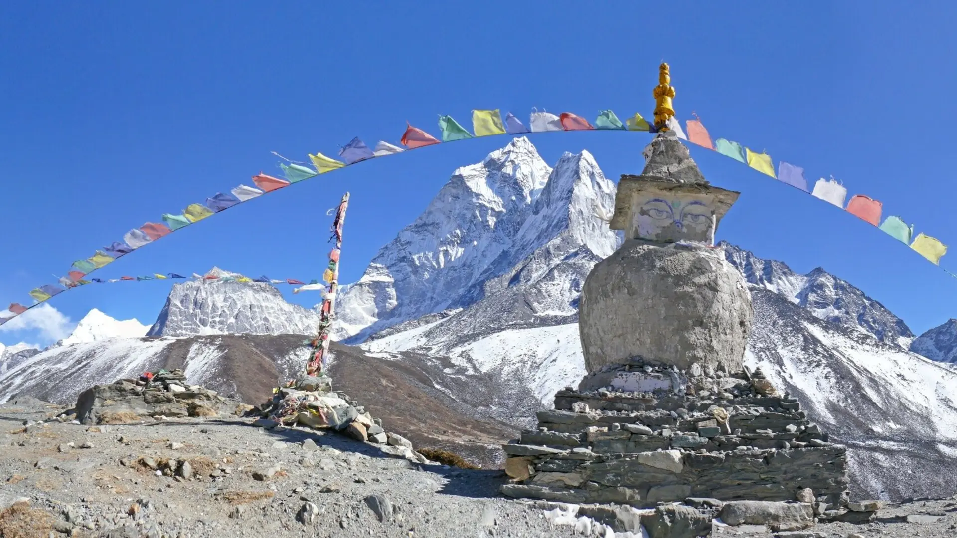 © Wolfgang Poznanski