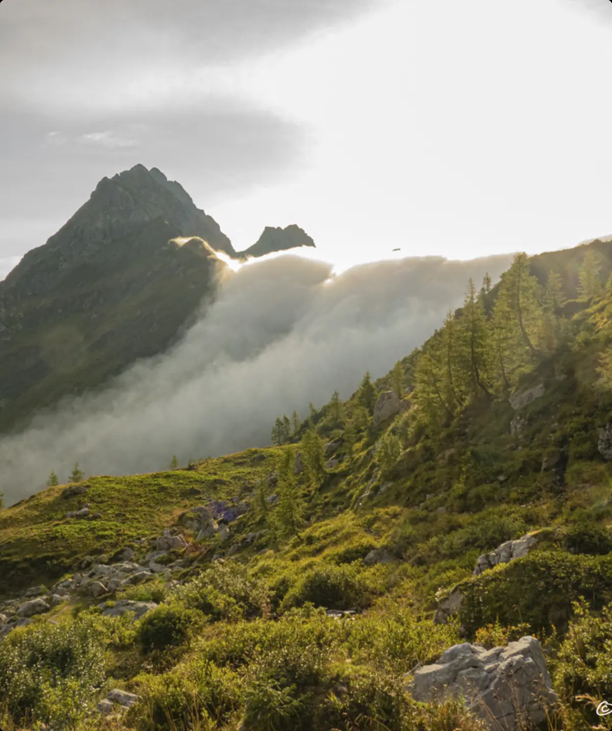 © Hanna_Hilsberg-Karnischer Höhenweg