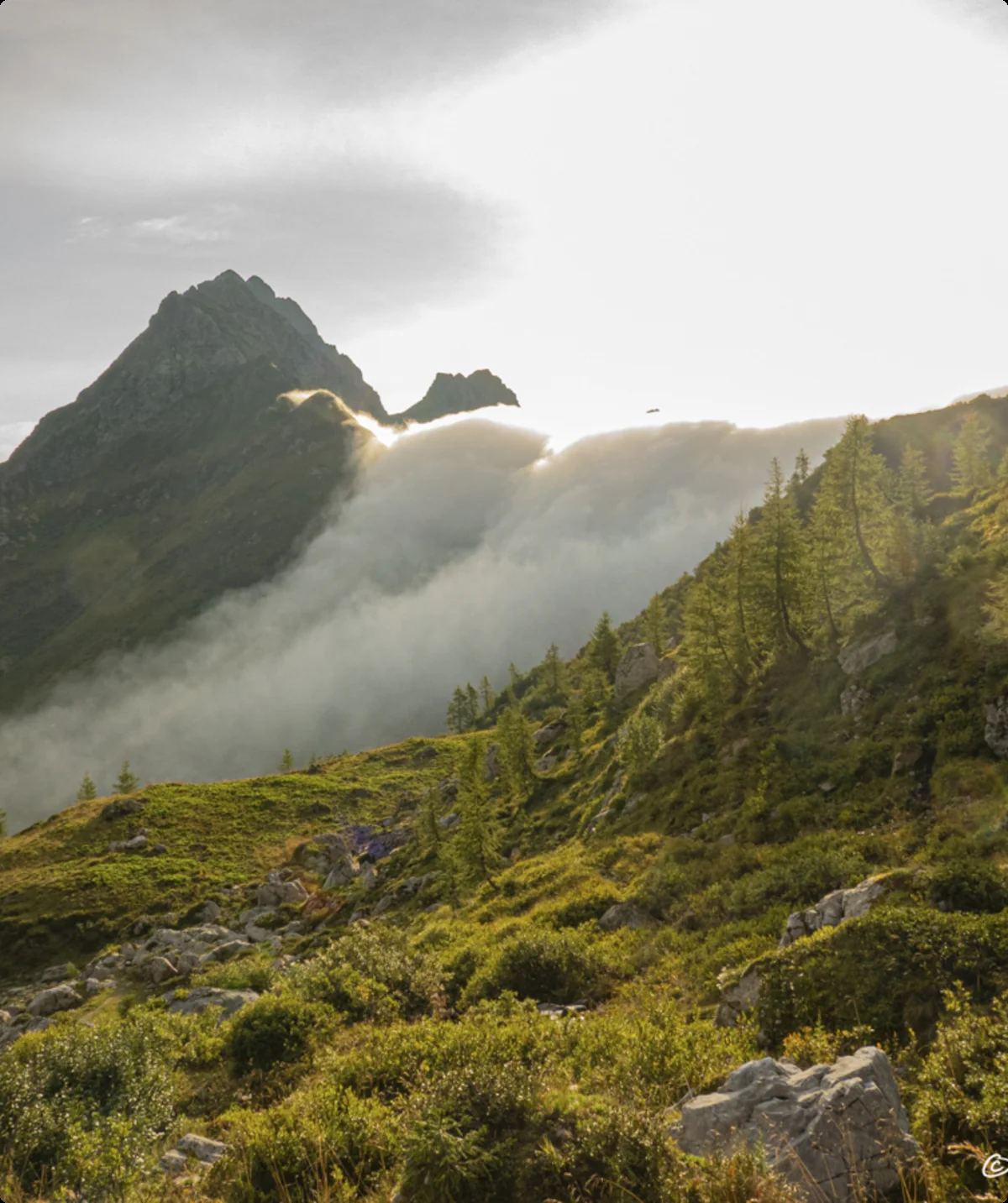 © Hanna_Hilsberg-Karnischer Höhenweg