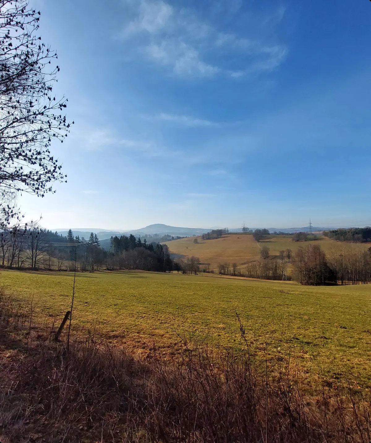 © CJ-T2613_Wiesenbad-1